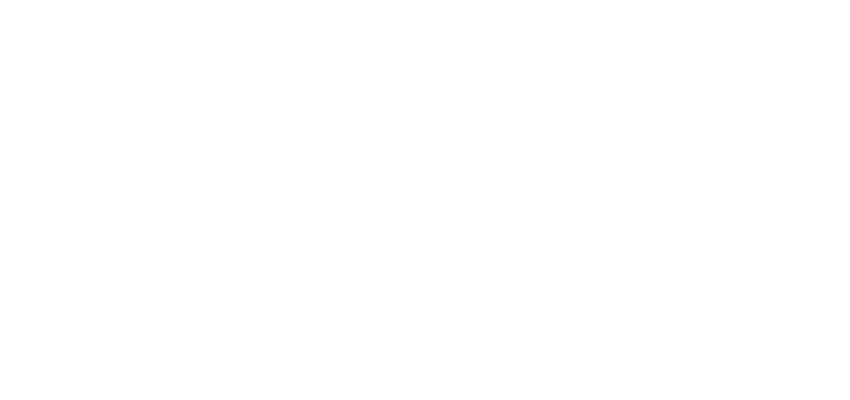 Sarajevo Dance Festival Logo Light